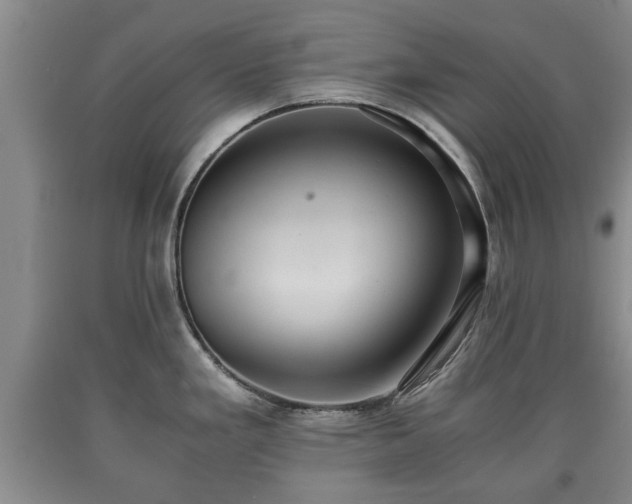 X0000090701293200707271100