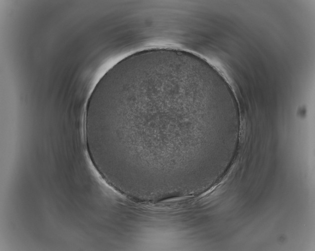 X0000090701295200707271100