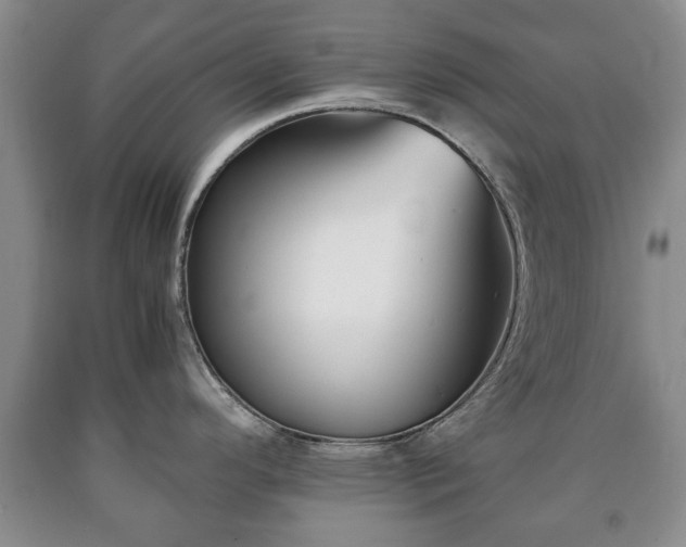 X0000090701296200707271100