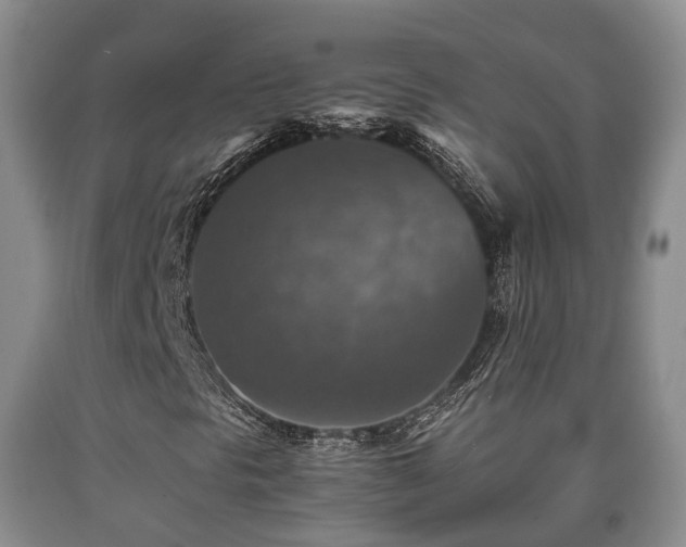 X0000090701297200707271059