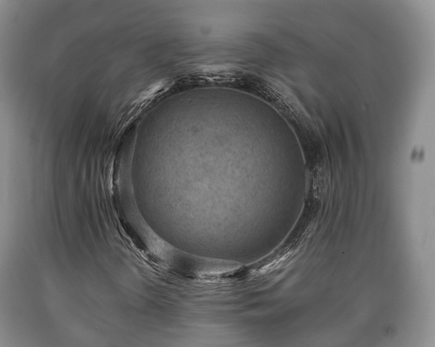 X0000090701298200707271059