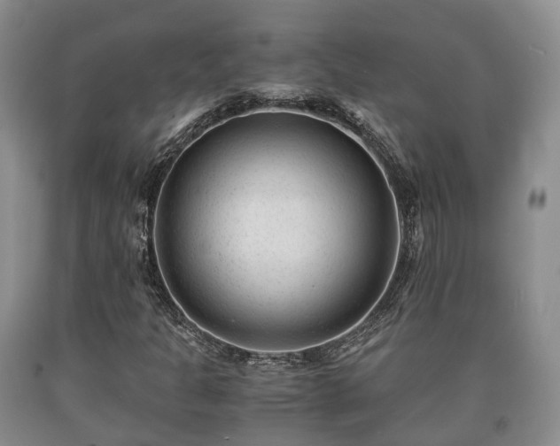 X0000090701301200707271100