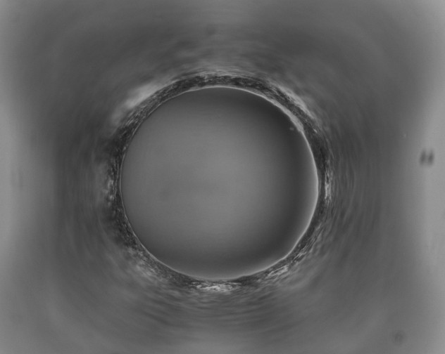 X0000090701303200707271100