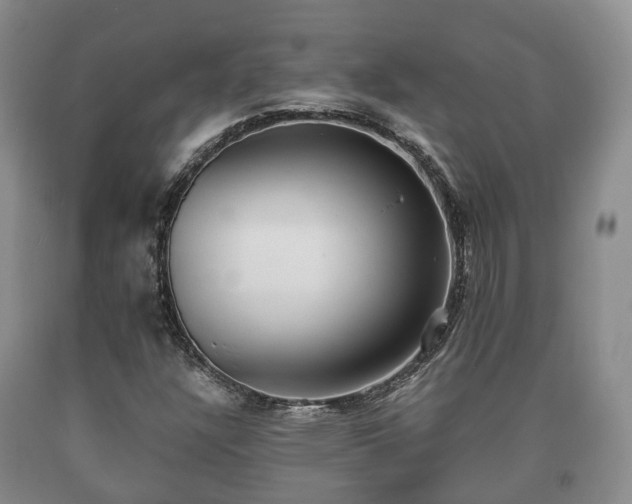 X0000090701304200707271100