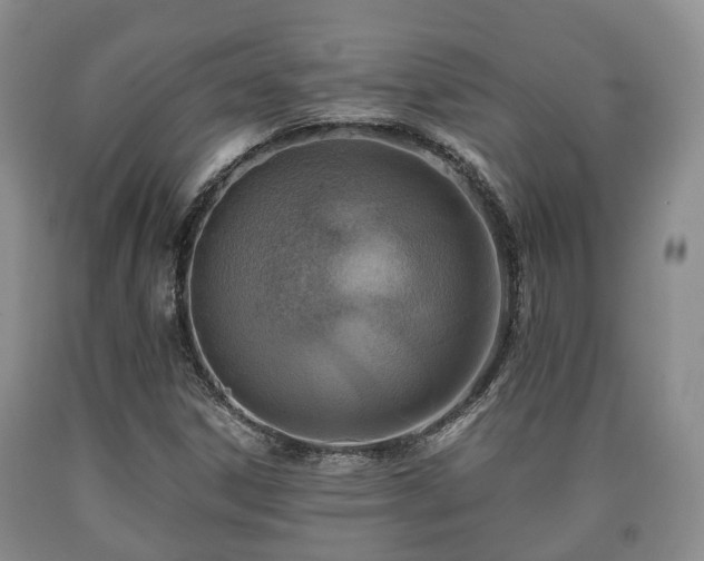 X0000090701306200707271100