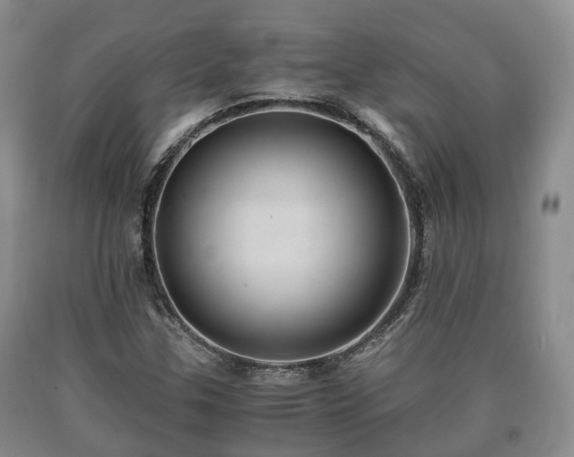 X0000090701307200707271100