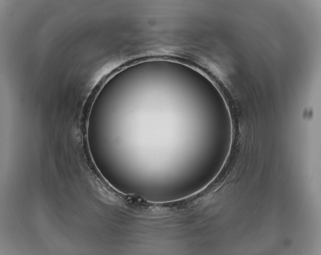 X0000090701308200707271100