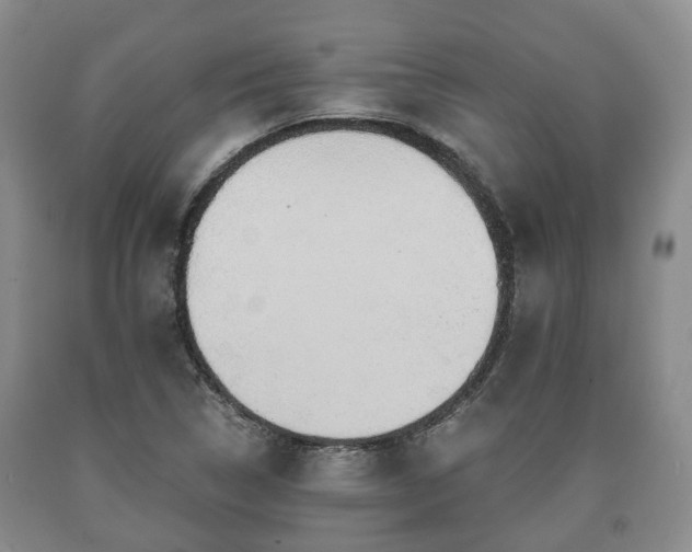 X0000090701314200707271100