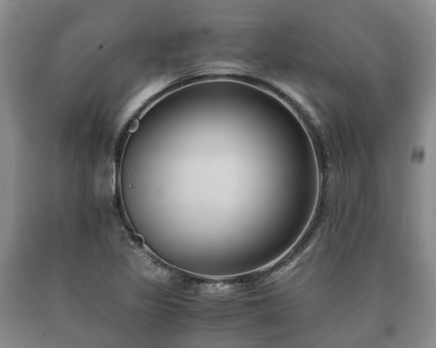 X0000090701317200707271100