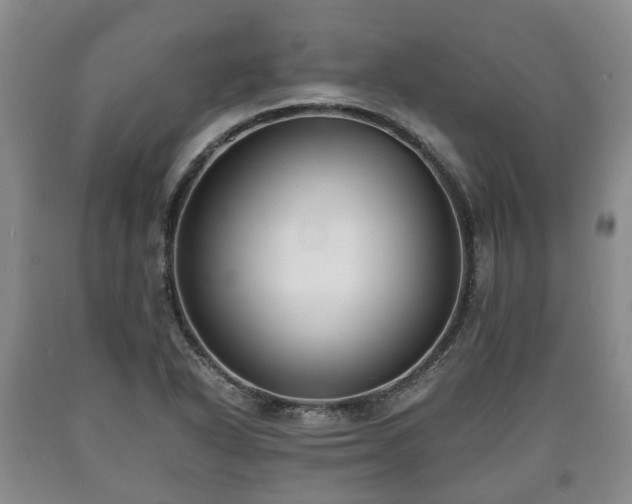 X0000090701318200707271100