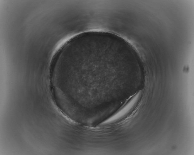 X0000090701319200707271100