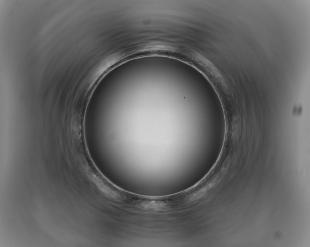 X0000090701321200707271100