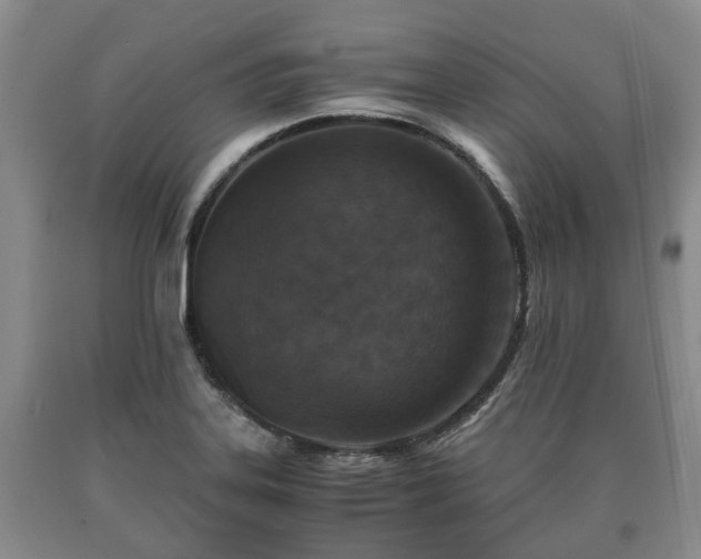 X0000090701323200707271100