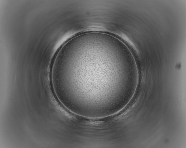 X0000090701325200707271100