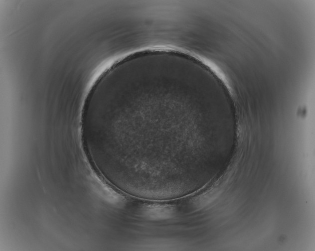 X0000090701327200707271100