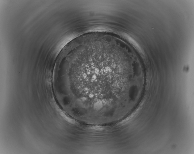 X0000090701329200707271100