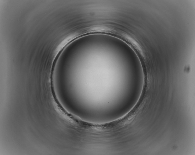 X0000090701330200707271100