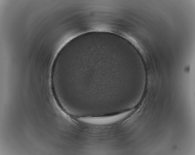 X0000090701331200707271100