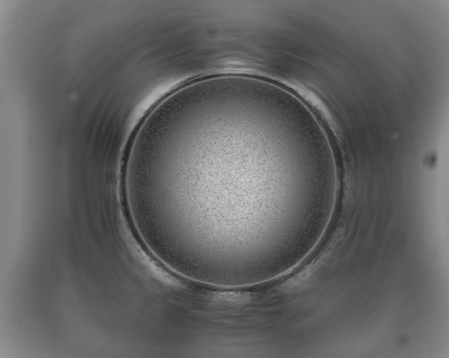 X0000090701333200707271100