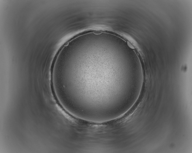 X0000090701335200707271100