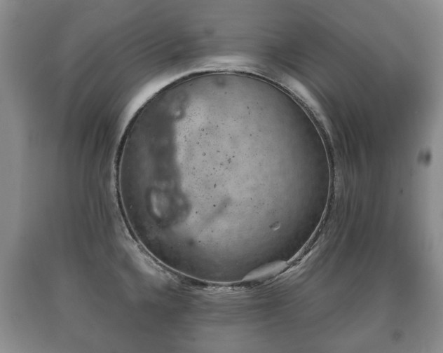 X0000090701336200707271100