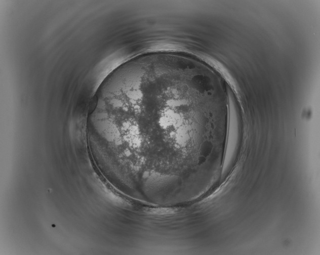 X0000090701337200707271100