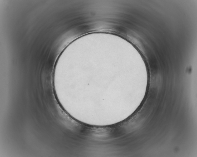 X0000090701338200707271100