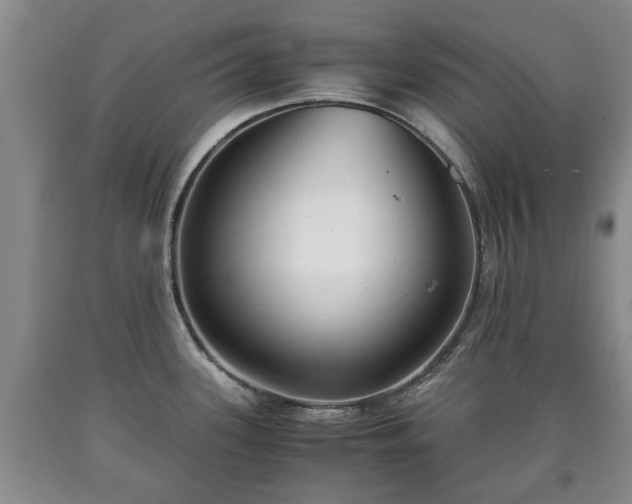 X0000090701339200707271100