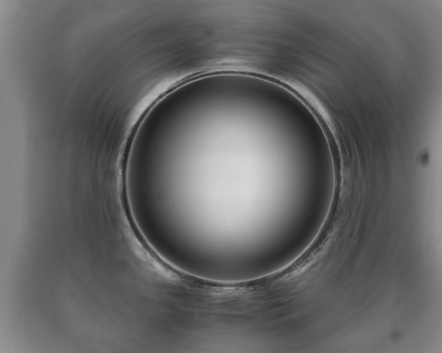 X0000090701341200707271100