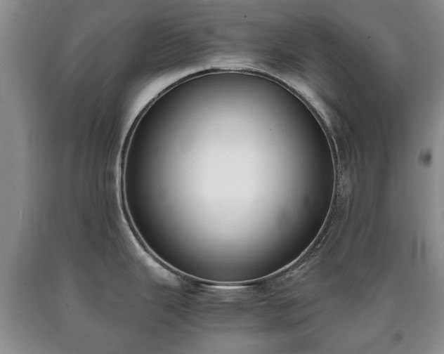 X0000090701343200707271100