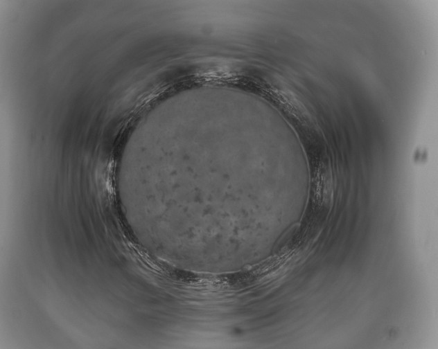 X0000090701346200707271059