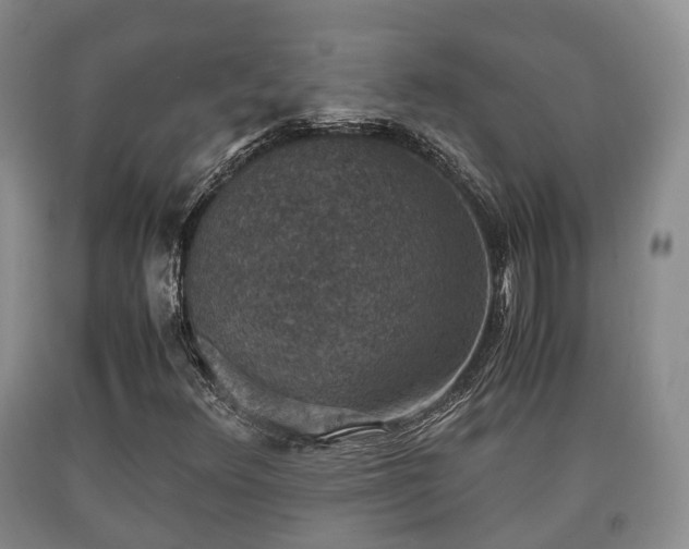 X0000090701348200707271059