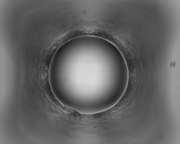 X0000090701349200707271059