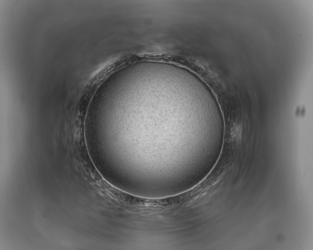 X0000090701350200707271059