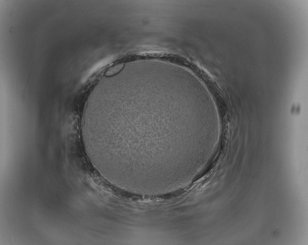 X0000090701351200707271059