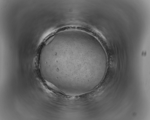 X0000090701352200707271059