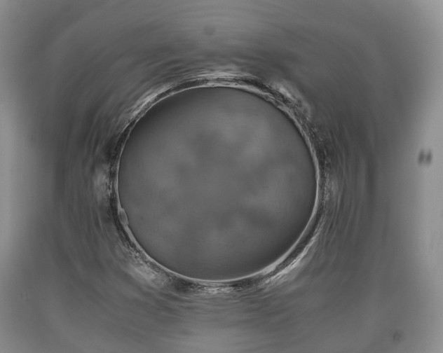 X0000090701353200707271059