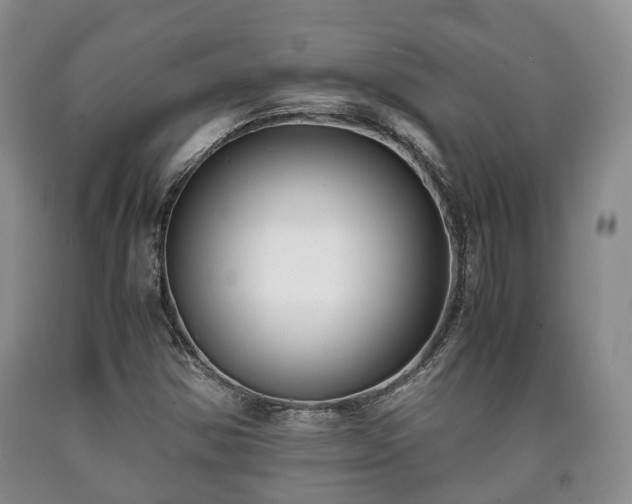 X0000090701354200707271059