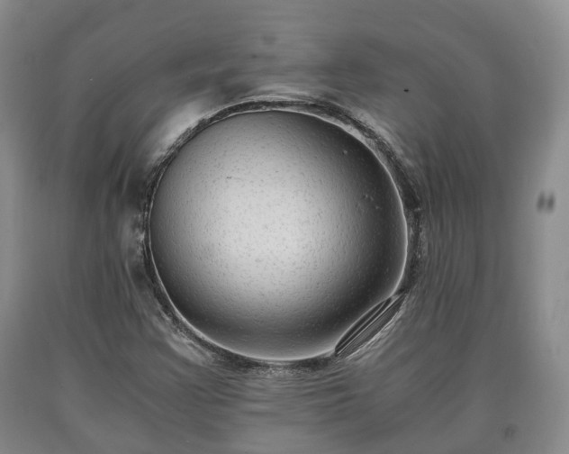 X0000090701355200707271059