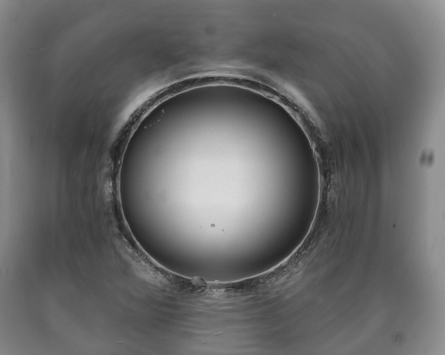 X0000090701360200707271059