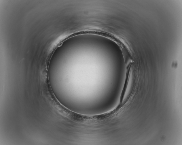 X0000090701363200707271059