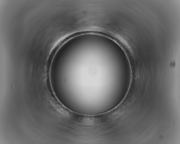 X0000090701364200707271059