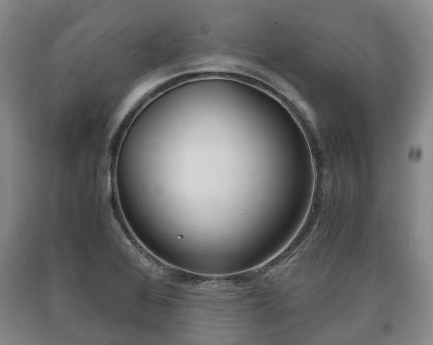 X0000090701368200707271059