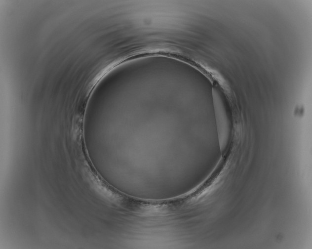 X0000090701369200707271059