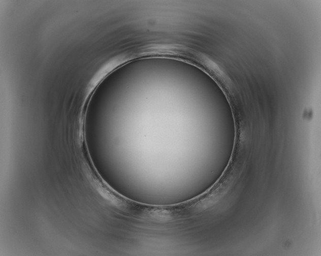 X0000090701370200707271059