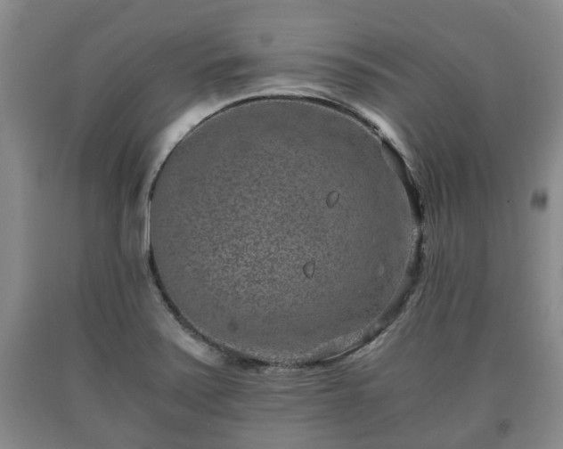 X0000090701371200707271059