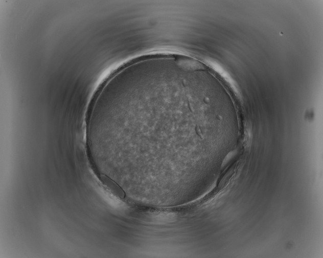 X0000090701372200707271059