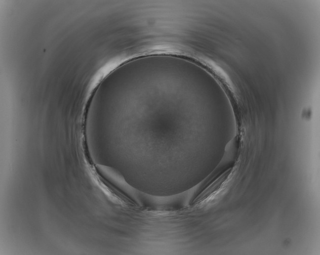 X0000090701373200707271059