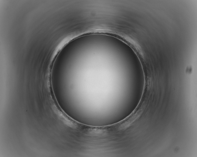 X0000090701374200707271059