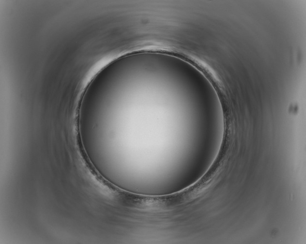 X0000090701375200707271059